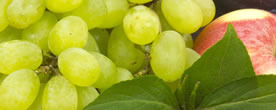 Weintrauben - Obst und Früchte
